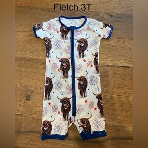 Fletch brand 3T shorties
